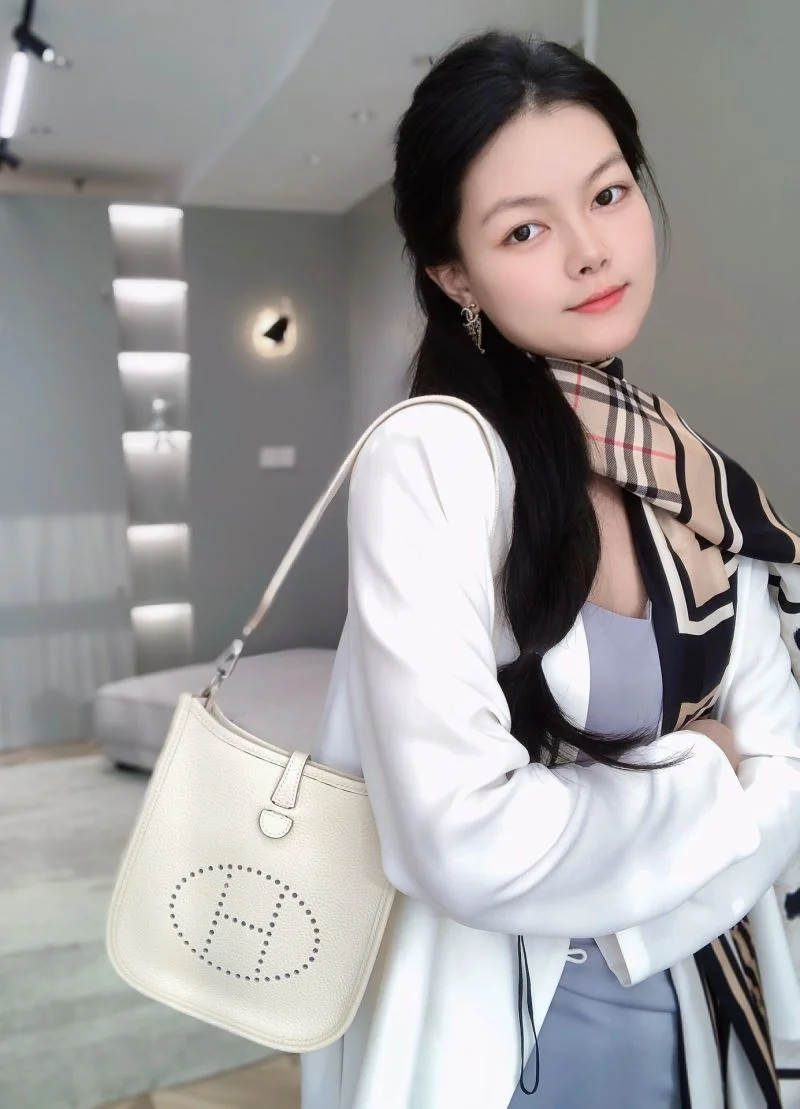 Hermes Evelyn Bags FlexibleFit 48306