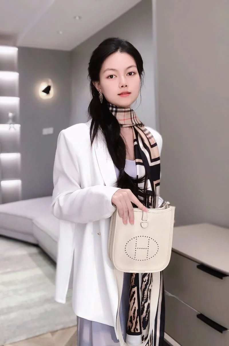 Hermes Evelyn Bags FlexibleFit 48306