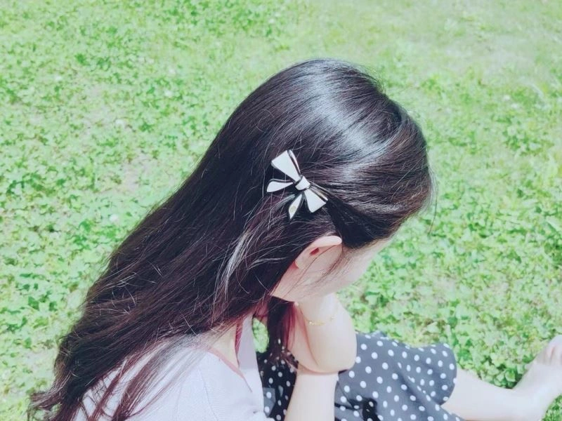 WrinkleFree Hermes Hairpins 247294
