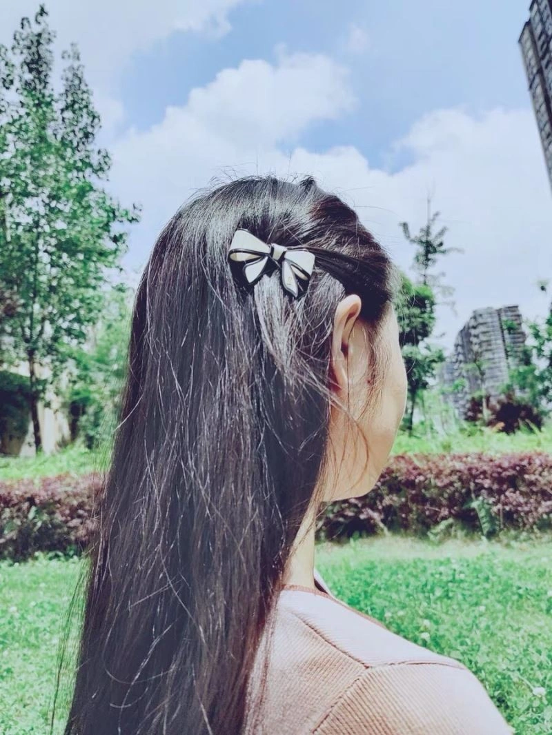 WrinkleFree Hermes Hairpins 247294