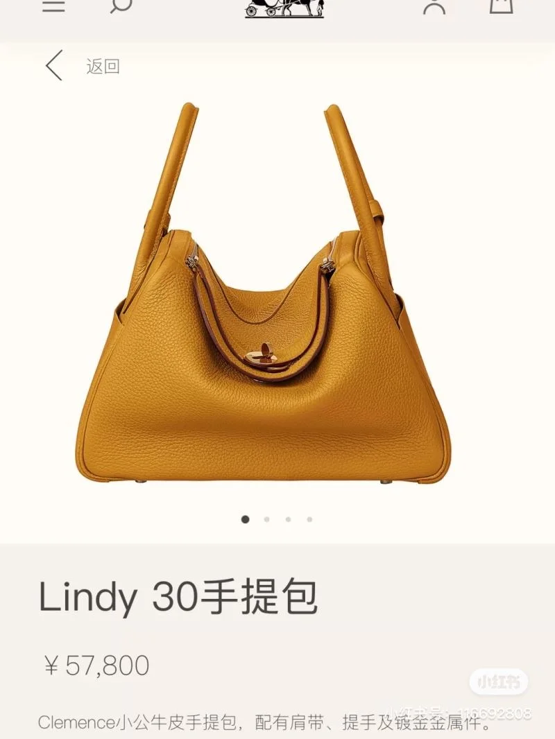 Comfortable Hermes Lindy Bags 48631