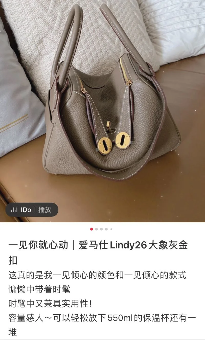 QuickDry Hermes Lindy Bags 48620