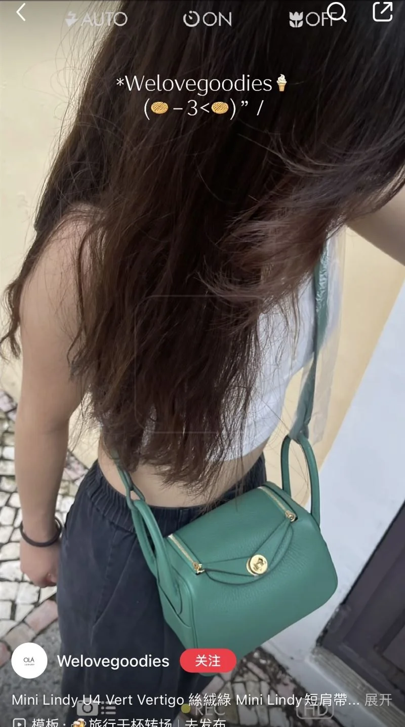 Hermes Lindy Bags Efficient 47874