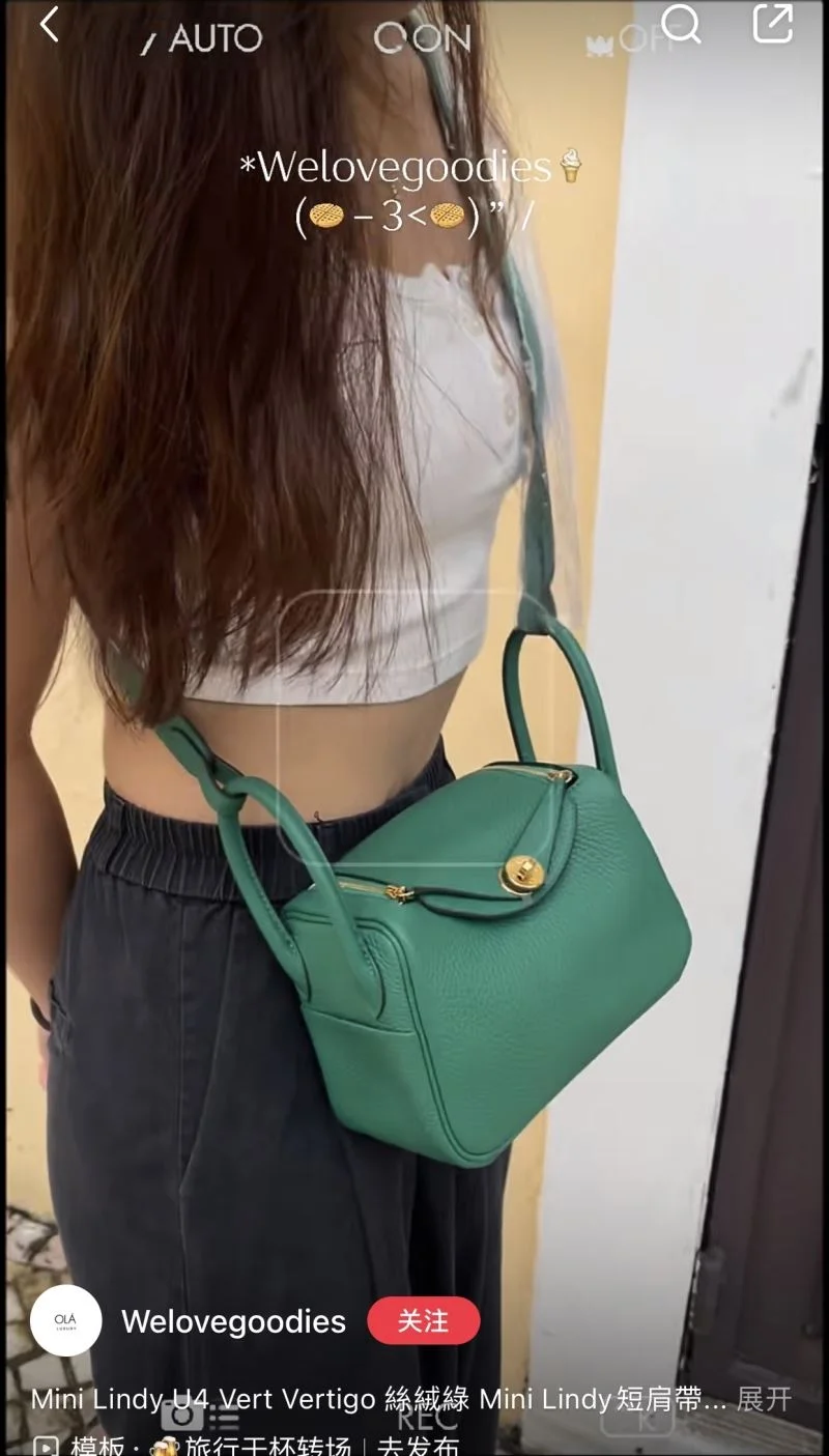 Hermes Lindy Bags Efficient 47874