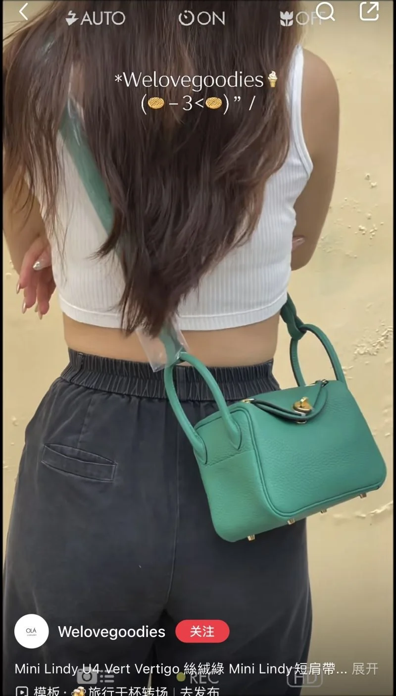 Hermes Lindy Bags Efficient 47874