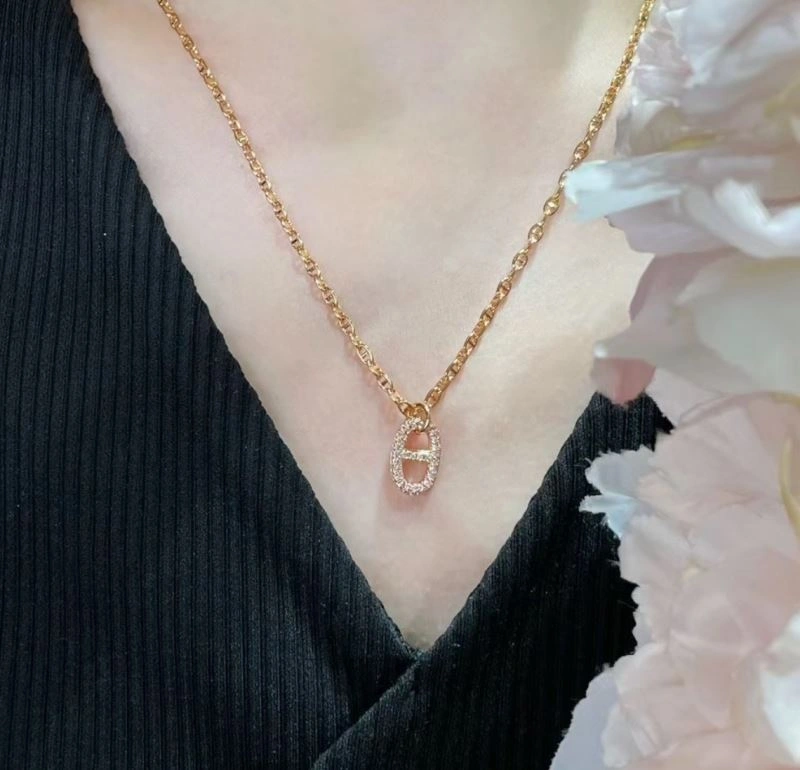 Hermes Necklaces Resilient 247417