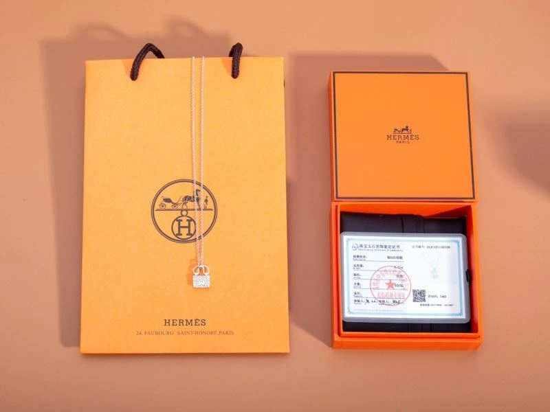 Hermes Necklaces Sleek 247544