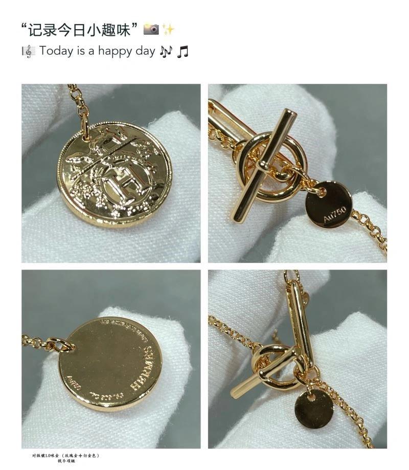 Hermes Necklaces Practical 246985