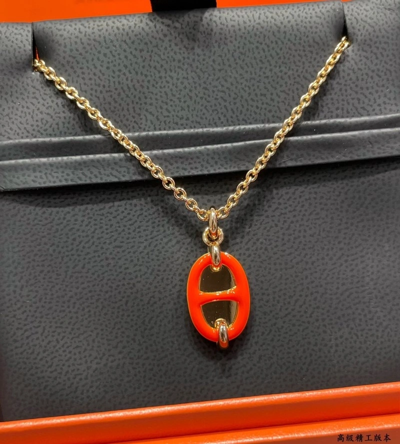 Hermes Necklaces Vibrant 246850
