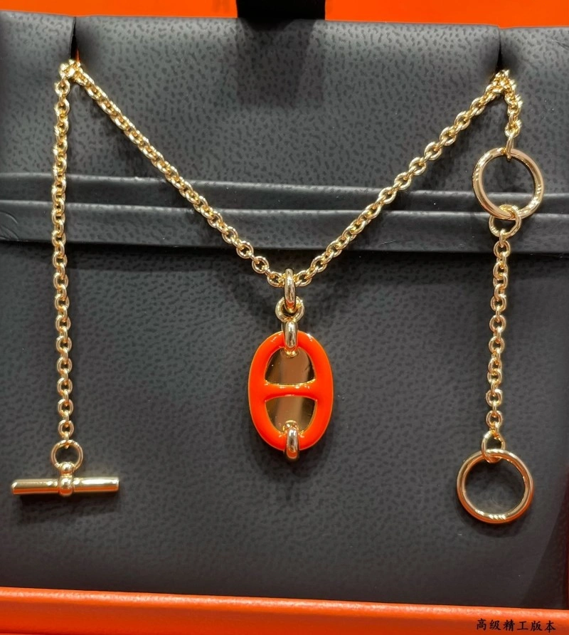 Hermes Necklaces Vibrant 246850
