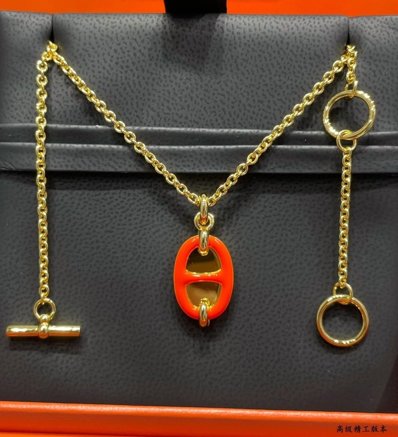Hermes Necklaces Vibrant 246850