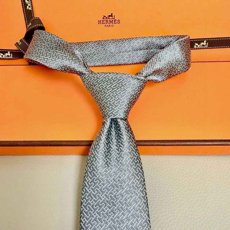 EasyCare Hermes Neckties 268803