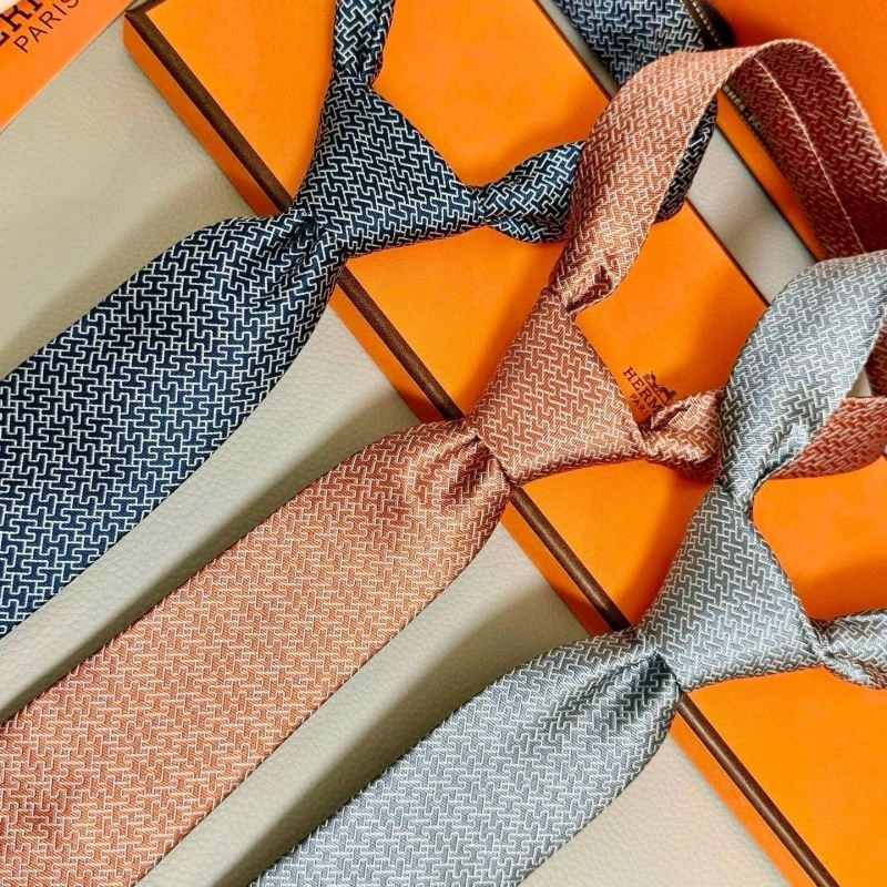 EasyCare Hermes Neckties 268803
