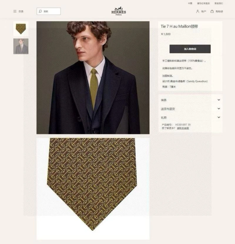 Hermes Neckties TopPick 268799