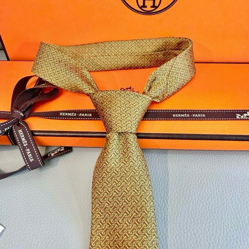 Hermes Neckties TopPick 268799