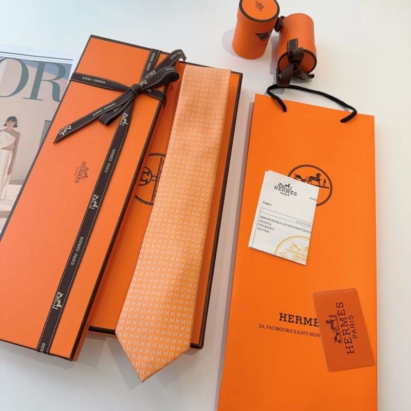 DailyWear Hermes Neckties 268778
