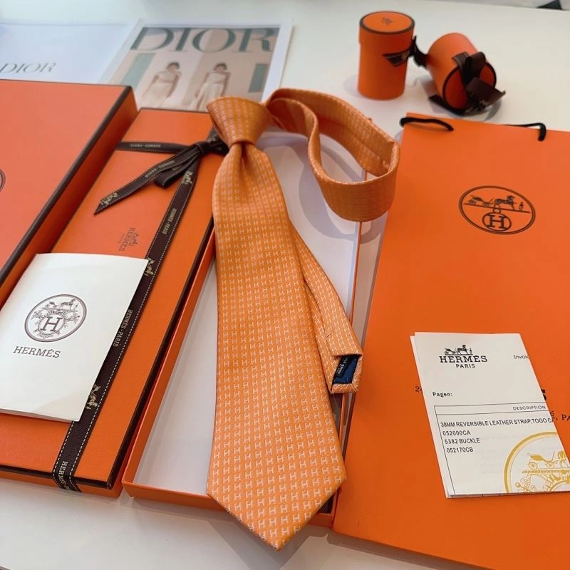 DailyWear Hermes Neckties 268778