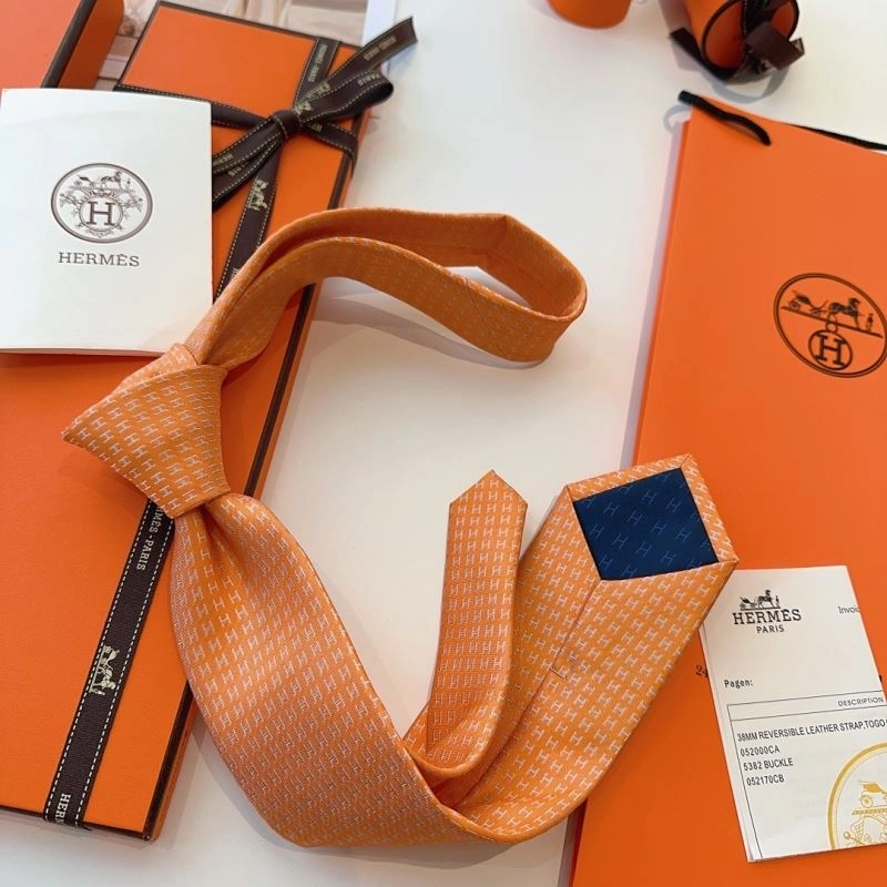 DailyWear Hermes Neckties 268778
