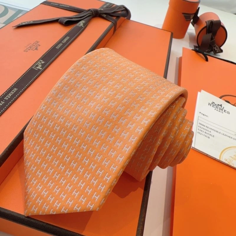 DailyWear Hermes Neckties 268778