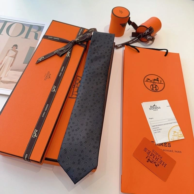 DailyWear Hermes Neckties 268747