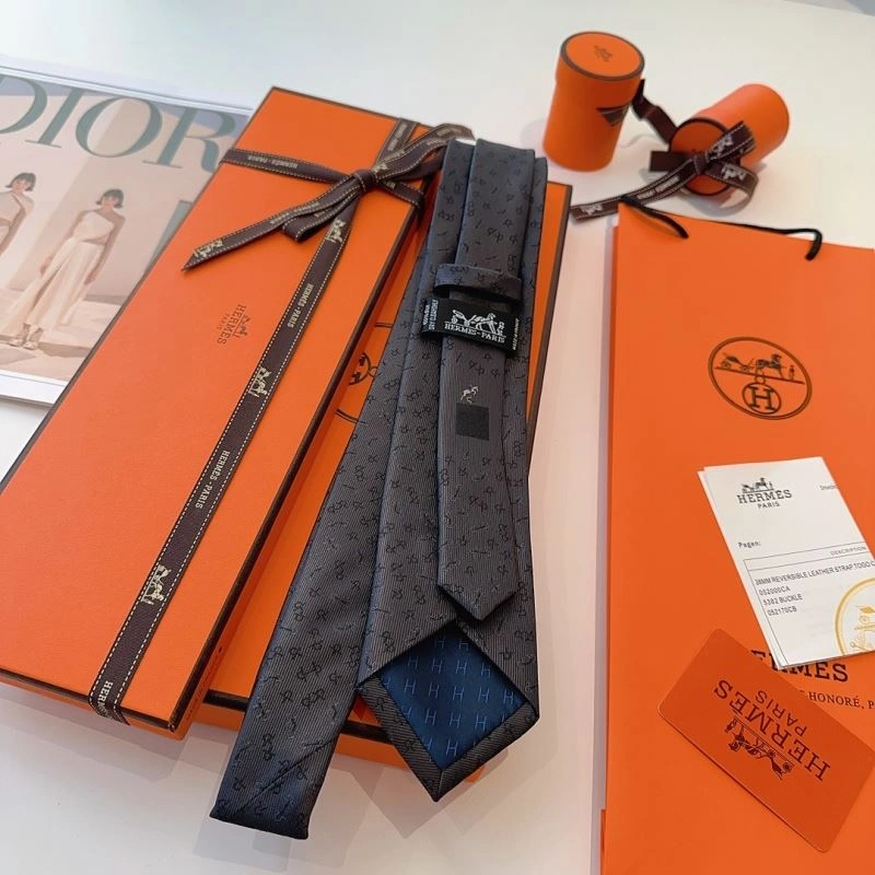 DailyWear Hermes Neckties 268747
