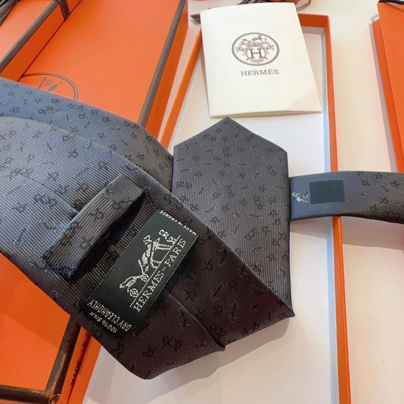 DailyWear Hermes Neckties 268747