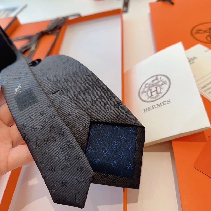 DailyWear Hermes Neckties 268747