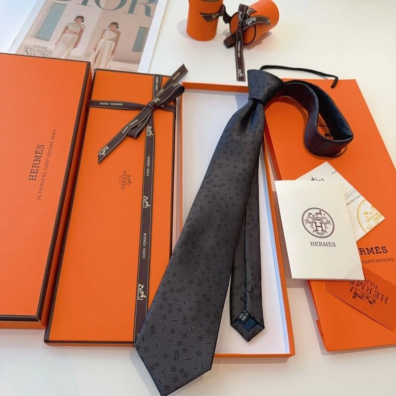 DailyWear Hermes Neckties 268747
