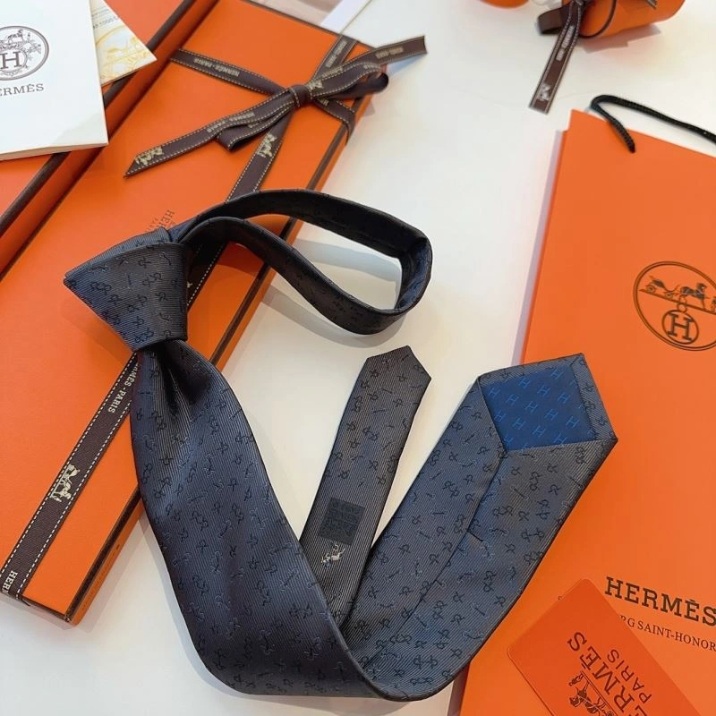 DailyWear Hermes Neckties 268747