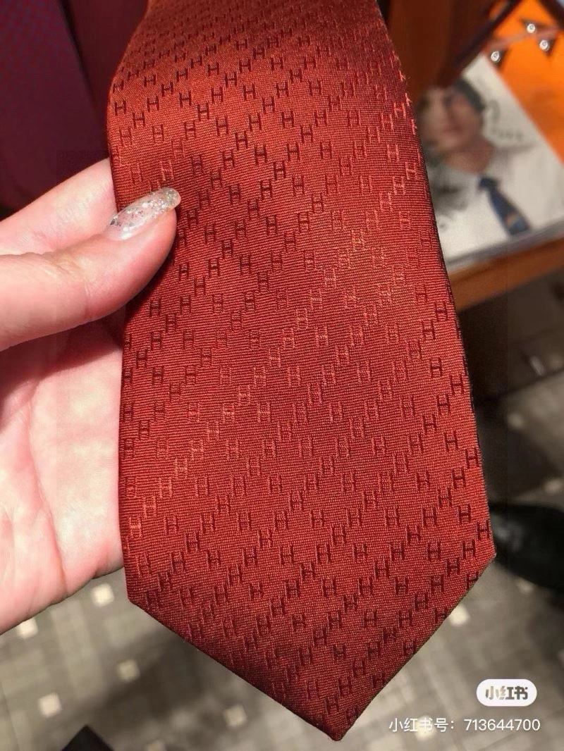 DailyWear Hermes Neckties 268713