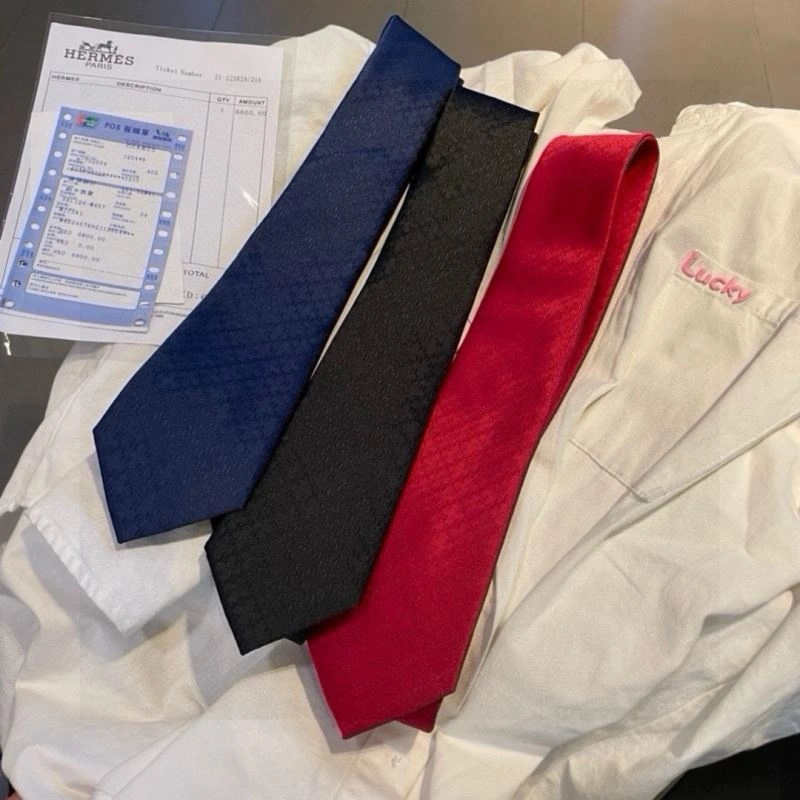 DailyWear Hermes Neckties 268713