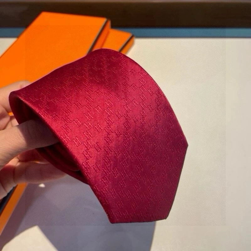 DailyWear Hermes Neckties 268713