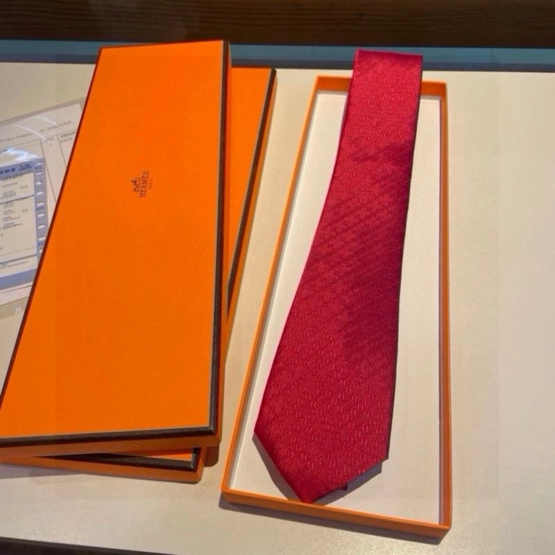DailyWear Hermes Neckties 268713