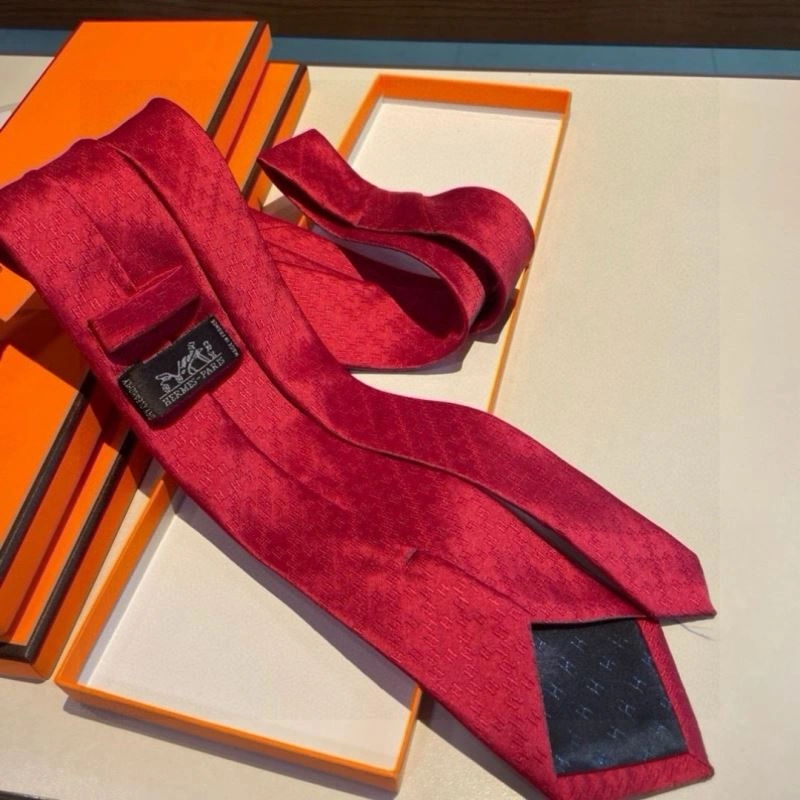 DailyWear Hermes Neckties 268713
