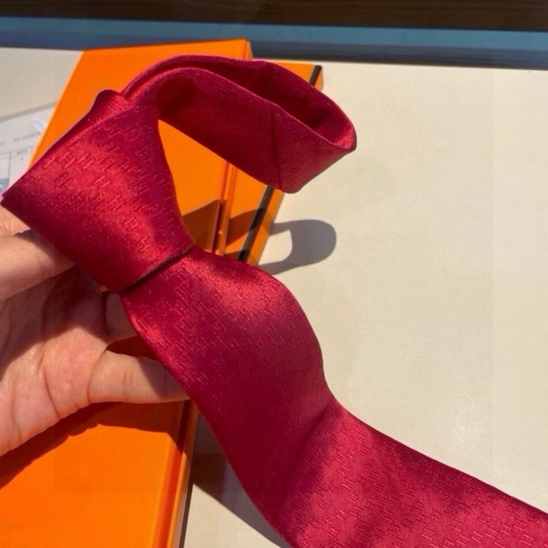 DailyWear Hermes Neckties 268713