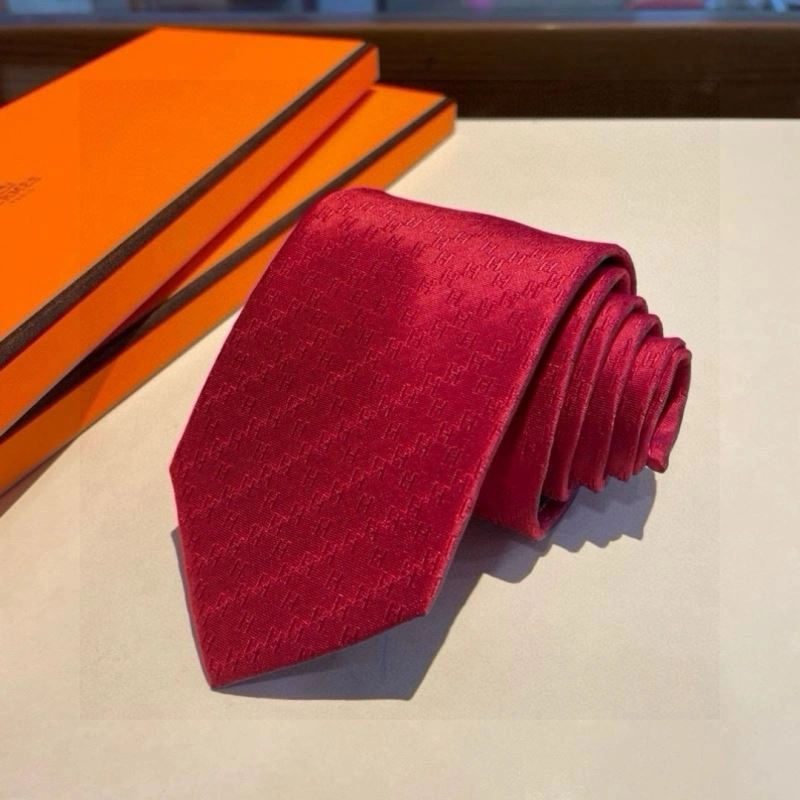 DailyWear Hermes Neckties 268713