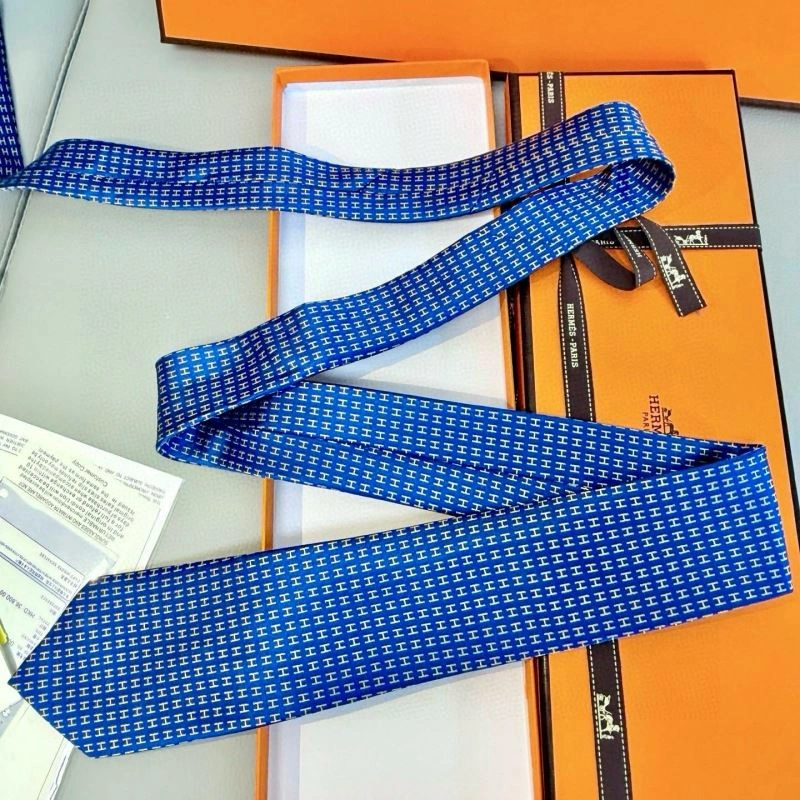 Hermes Neckties Elegant 268700