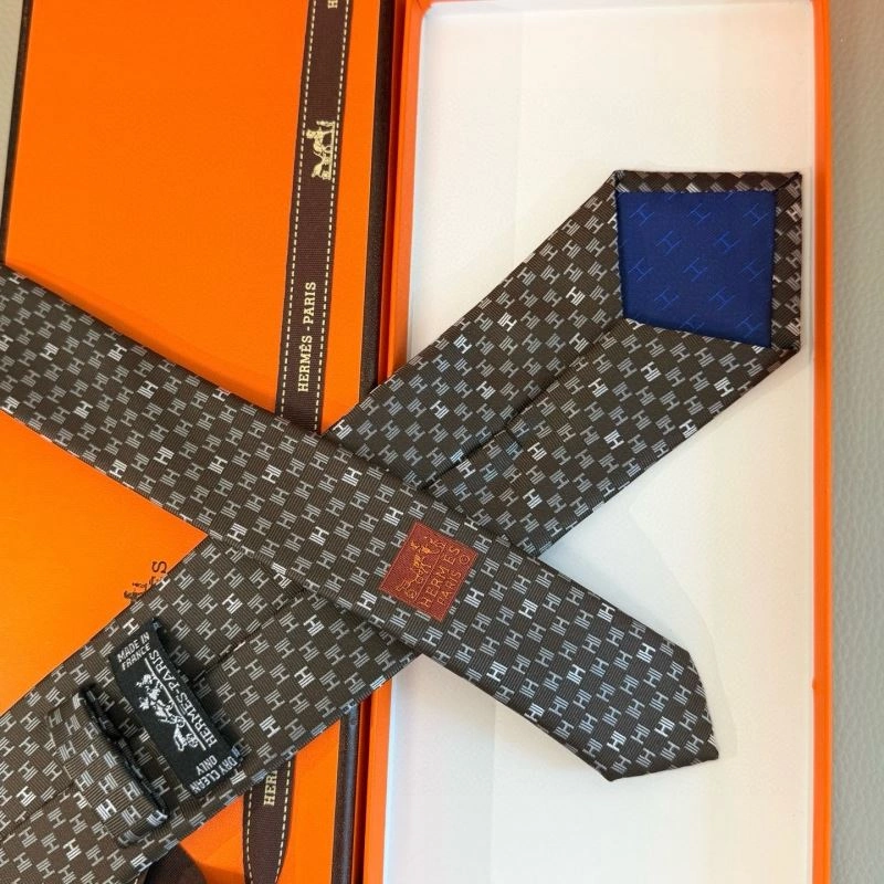 Hermes Neckties Chic 268711