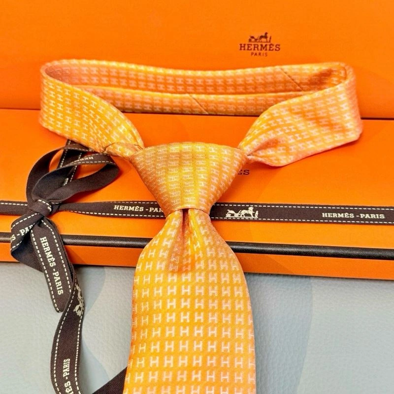 Sporty Hermes Neckties 268690