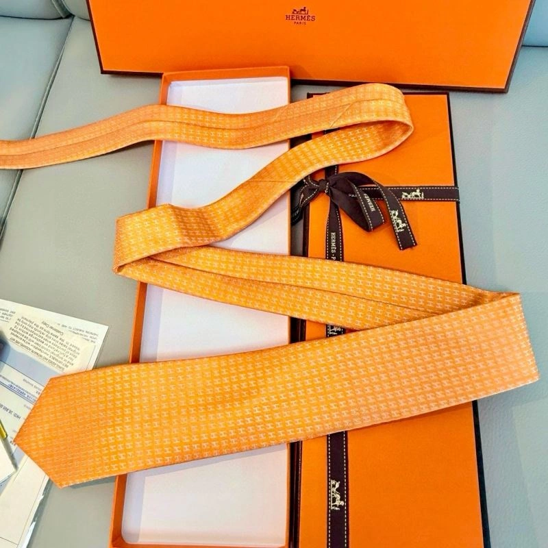 Sporty Hermes Neckties 268690