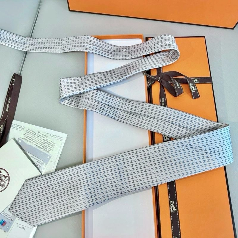 Hermes Neckties Breathable 268695