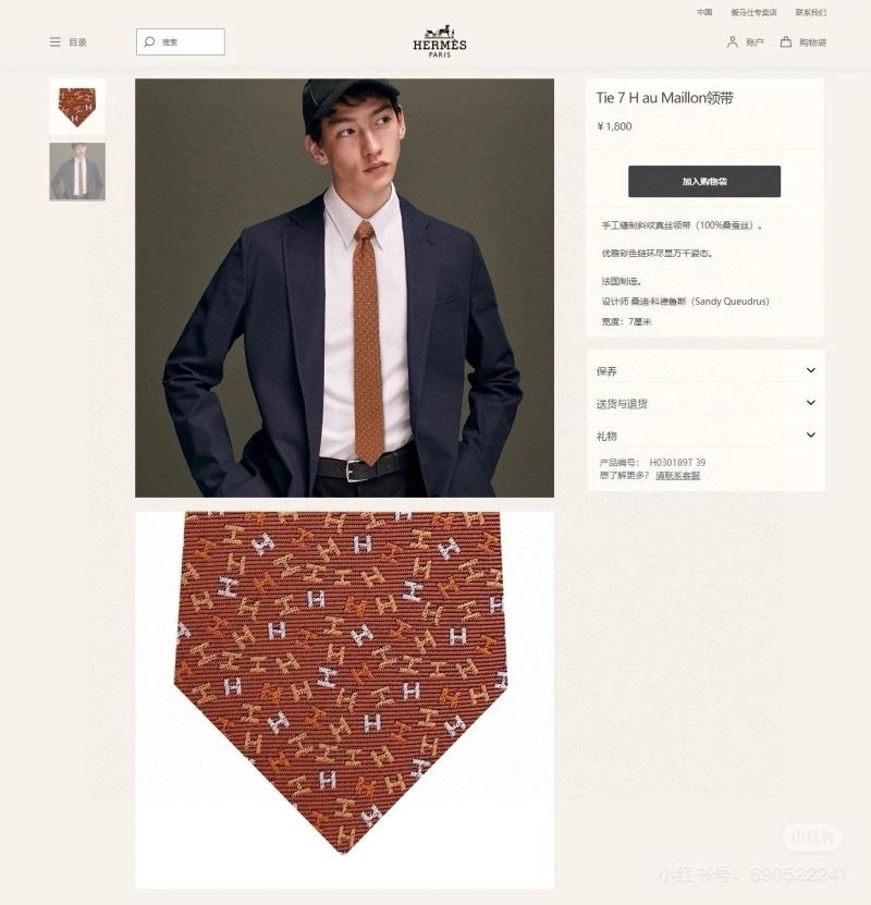 WellDesigned Hermes Neckties 268663