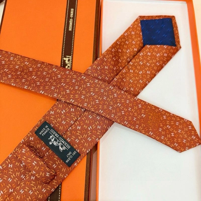 WellDesigned Hermes Neckties 268663