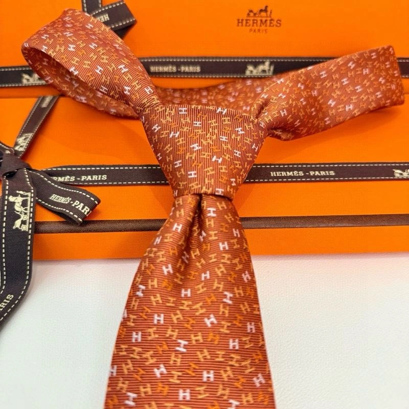 WellDesigned Hermes Neckties 268663