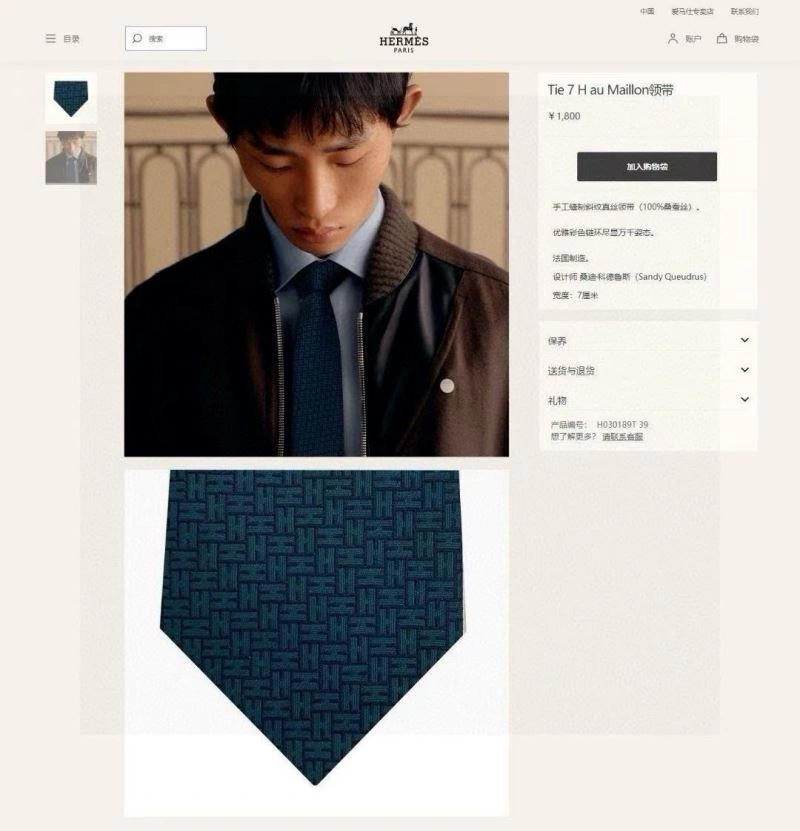 RelaxedFit Hermes Neckties 268585