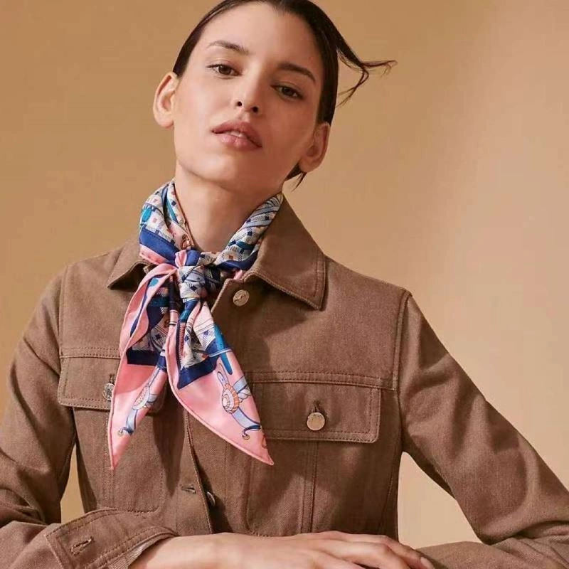 Hermes Scarf Resilient 270658