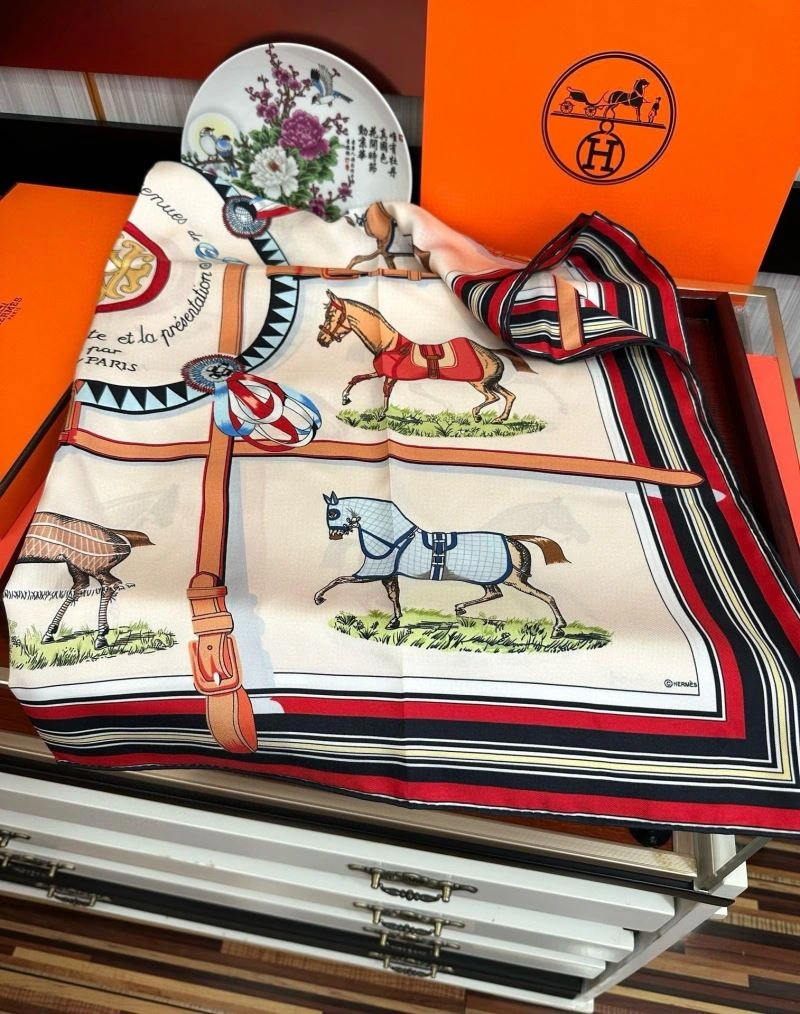 Hermes Scarf Sophisticated 271053