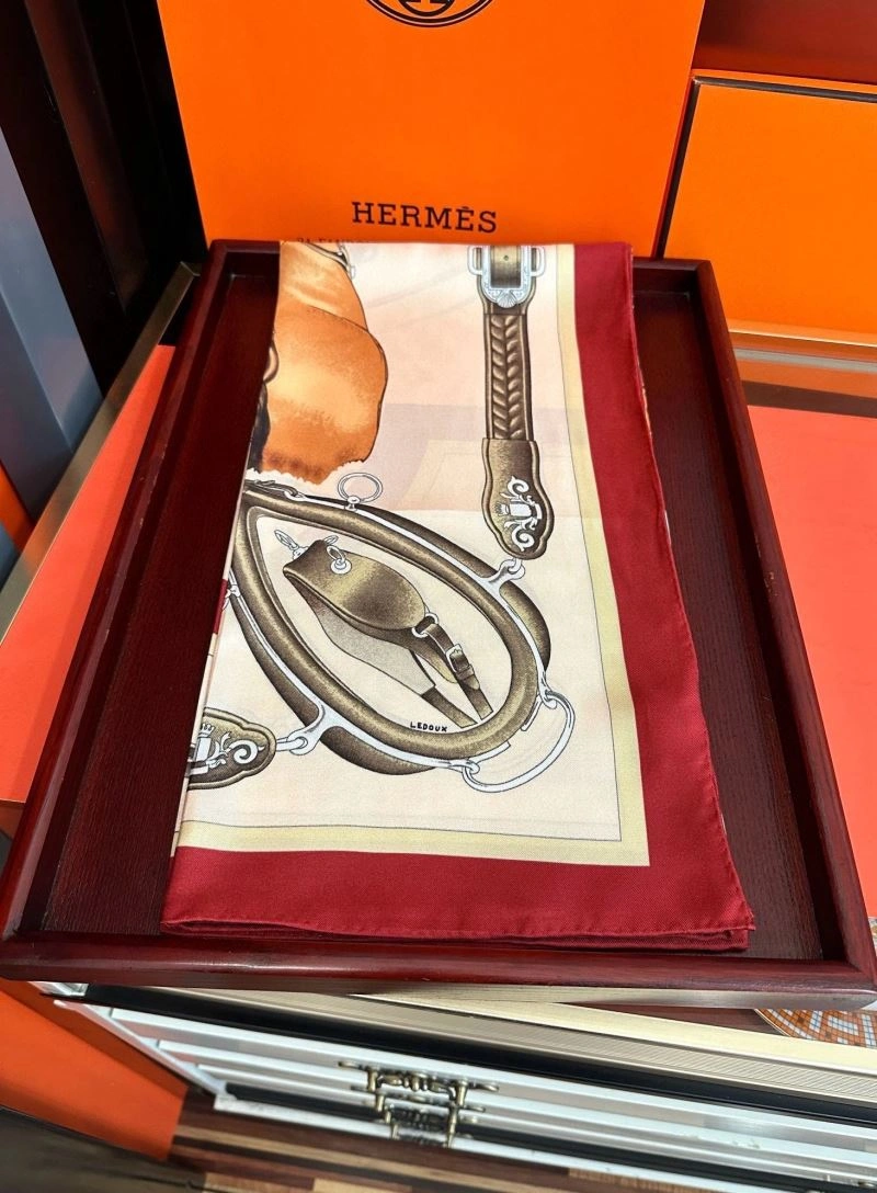 Contemporary Hermes Scarf 271033