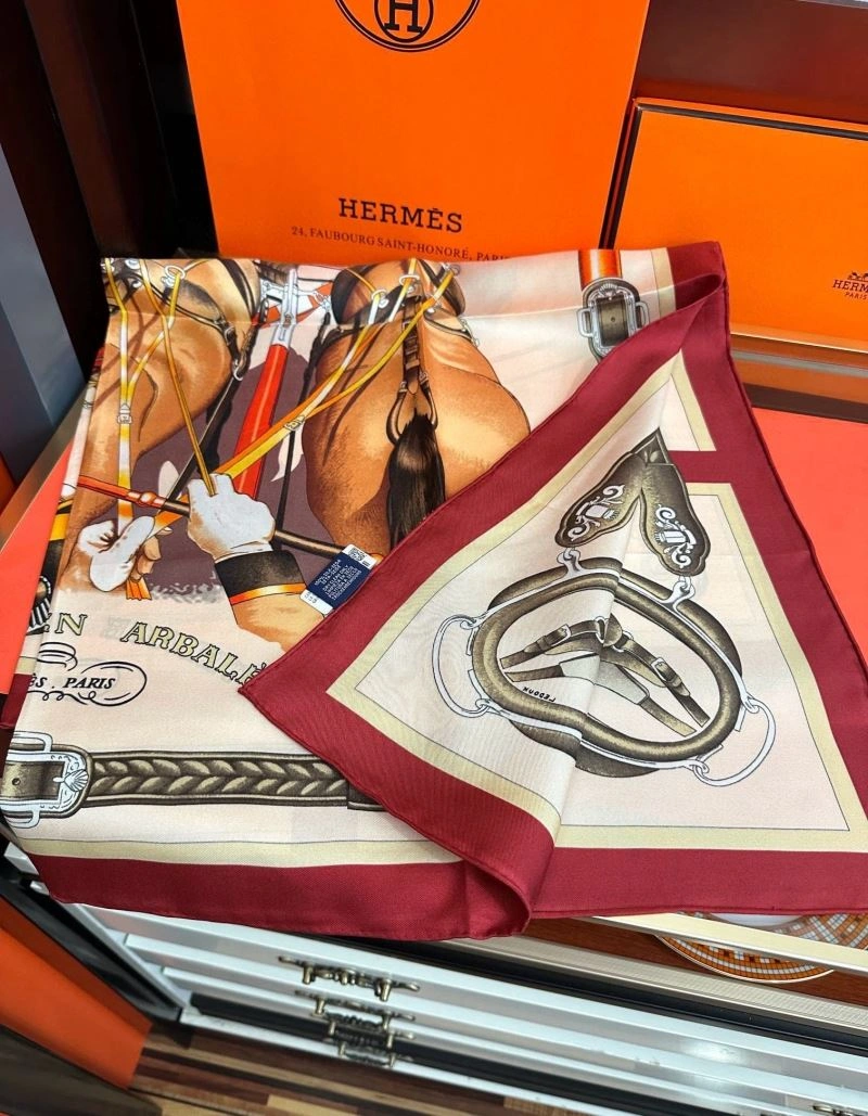 Contemporary Hermes Scarf 271033