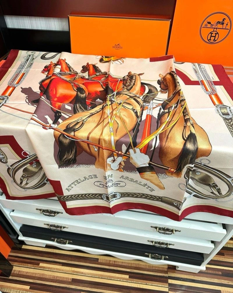 Contemporary Hermes Scarf 271033